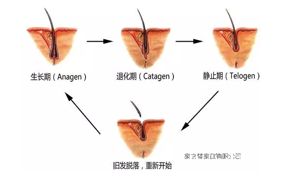 images/82/2017/08/HV1S1kgFqF11X4F1AQ051vsfKk1q7k.png